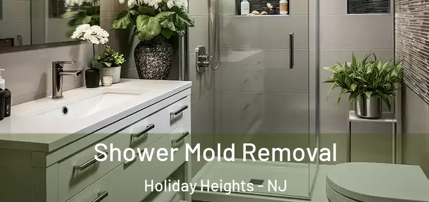  Shower Mold Removal Holiday Heights - NJ