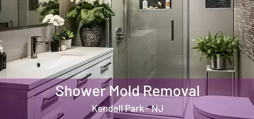  Shower Mold Removal Kendall Park - NJ