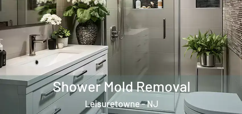  Shower Mold Removal Leisuretowne - NJ