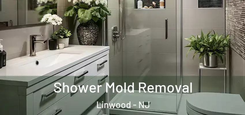  Shower Mold Removal Linwood - NJ