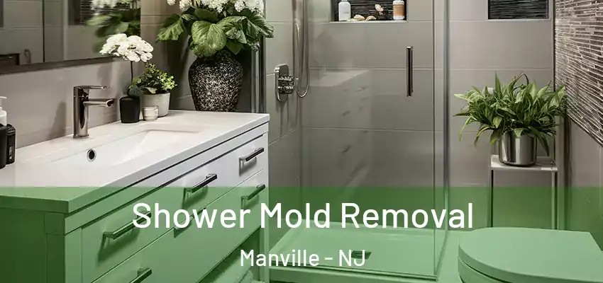  Shower Mold Removal Manville - NJ