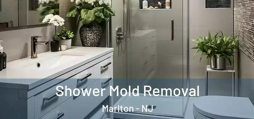 Shower Mold Removal Marlton - NJ