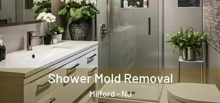  Shower Mold Removal Milford - NJ
