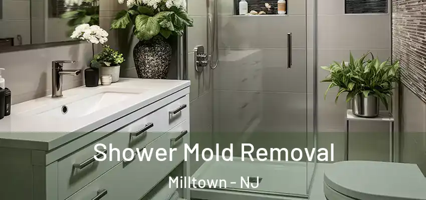  Shower Mold Removal Milltown - NJ