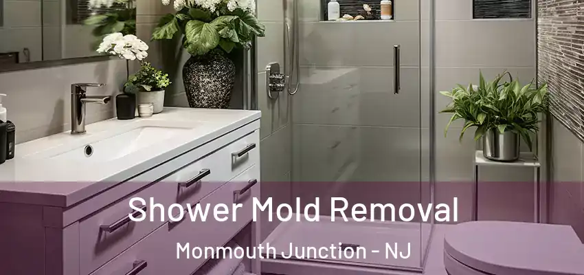  Shower Mold Removal Monmouth Junction - NJ