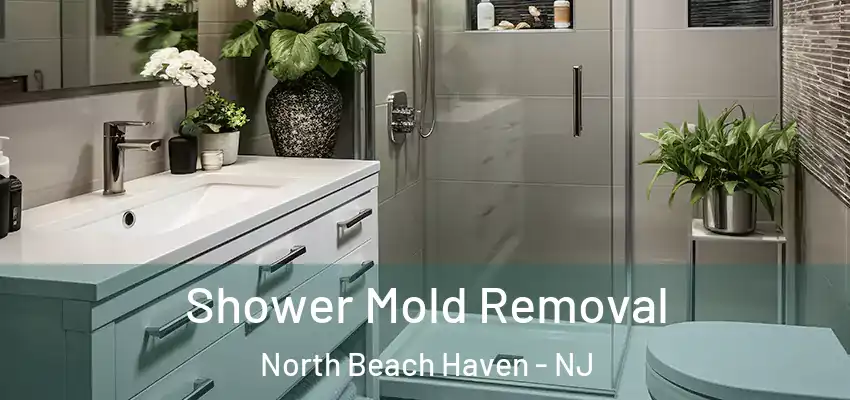  Shower Mold Removal North Beach Haven - NJ