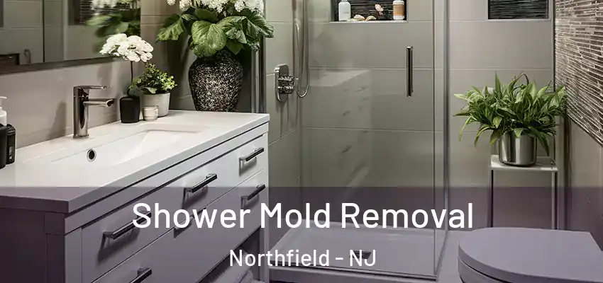 Shower Mold Removal Northfield - NJ