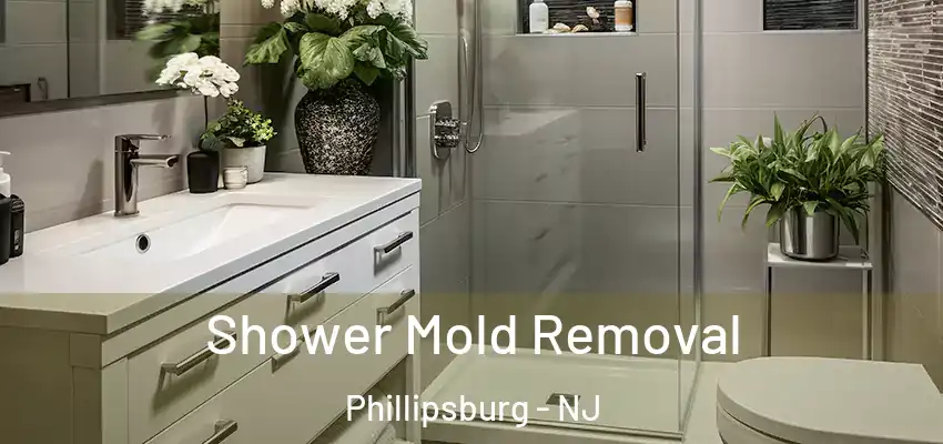 Shower Mold Removal Phillipsburg - NJ