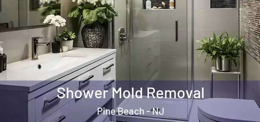  Shower Mold Removal Pine Beach - NJ