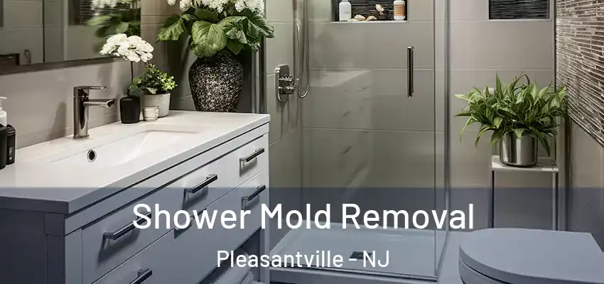 Shower Mold Removal Pleasantville - NJ