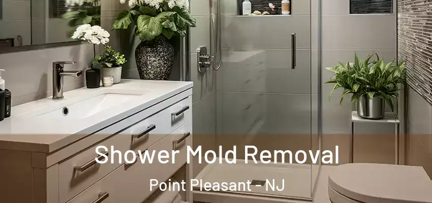 Shower Mold Removal Point Pleasant - NJ