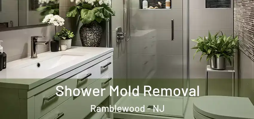  Shower Mold Removal Ramblewood - NJ