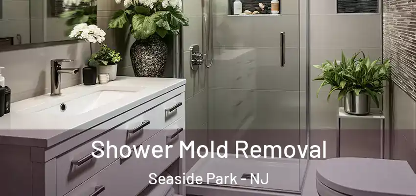  Shower Mold Removal Seaside Park - NJ