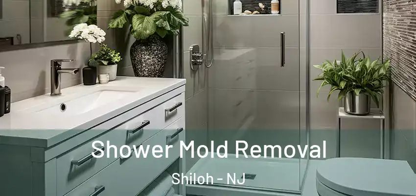 Shower Mold Removal Shiloh - NJ