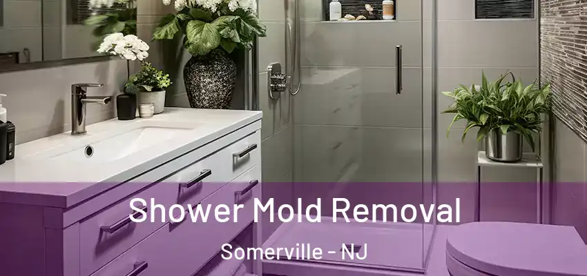 Shower Mold Removal Somerville - NJ