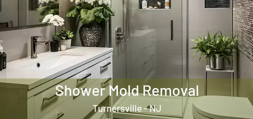  Shower Mold Removal Turnersville - NJ